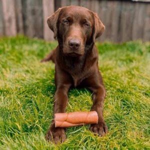 Anco Naturals Buffalo Rolls Medium