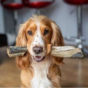 Anco Naturals Junior Bully Sticks