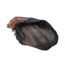 Hairy cows ear