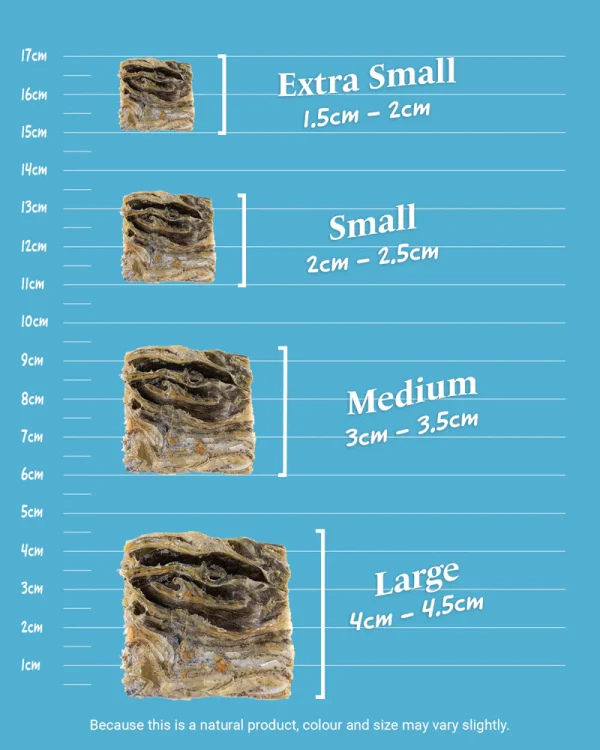 Skippers Fish Skin Cubes 1kg Medium - Image 3