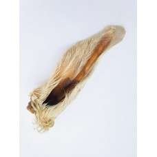 Hairy goat ear