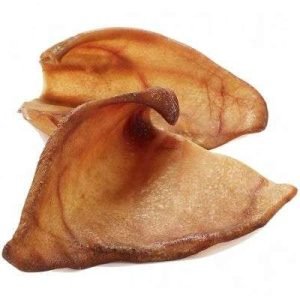 Pigs ear