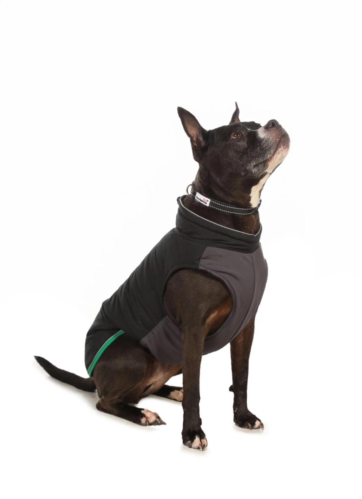 Doodlebone Puffer Jacket