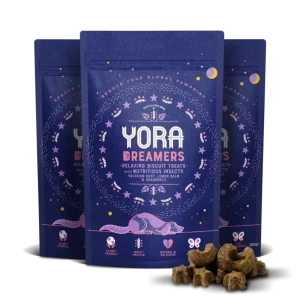 Yora Dreamers